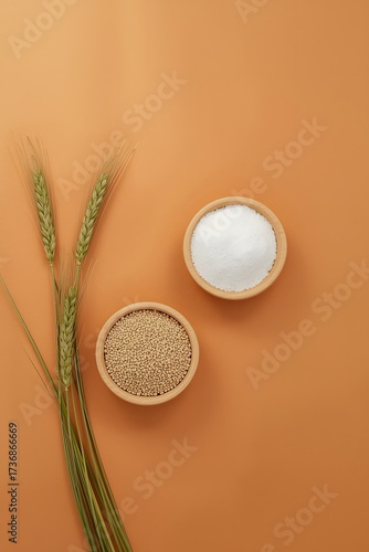 Healthy grain and dairy ingredient composition with wheat ear cereal and milk on warm background representing natural nutrition