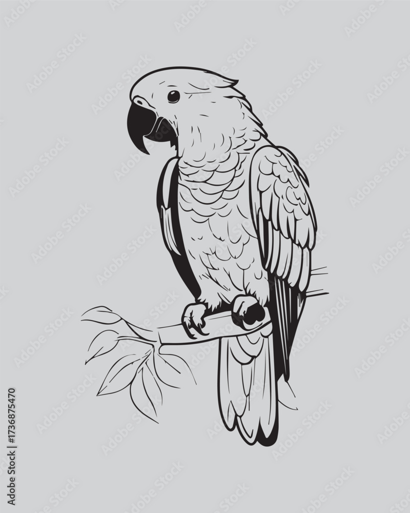 Obraz premium A detailed, black and white outline illustration of a magnificent macaw or parrot perched on a branch. Excellent for tropical themes, detailed coloring books, wildlife conservation graphics