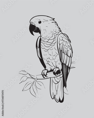 A detailed, black and white outline illustration of a magnificent macaw or parrot perched on a branch. Excellent for tropical themes, detailed coloring books, wildlife conservation graphics