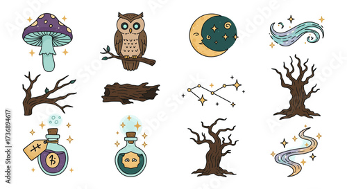 Enchanted forest illustrations whimsical mushroom moon owl potion constellations  trees perfect for magical storybooks and halloween designs