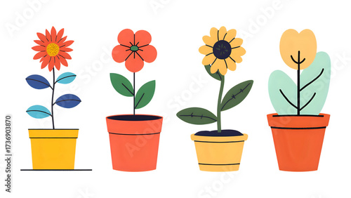 flowers in pots