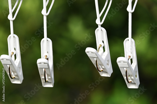 庭に並ぶ洗濯バサミ