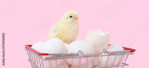 Shopping basket with cute l...