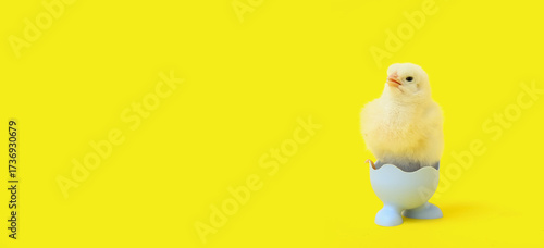 Egg holder with cute little...