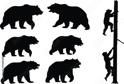 Bear silhouette vector illustration set with wild animal poses, aggressive roaring bear, climbing tree man, nature wildlife hunting design