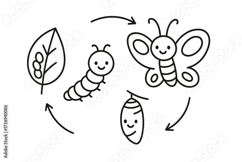 Butterfly life cycle vector set in cute linear style. Insect metamorphosis infographic with smiling caterpillar, chrysalis, and butterfly. Educational biology cartoon for children.
