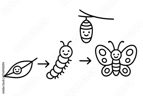 Butterfly life cycle metamorphosis. Insect evolution infographic. Egg, larva, pupa, adult stages. Cute smiling caterpillar, chrysalis cartoon. Biology education vector icon set.