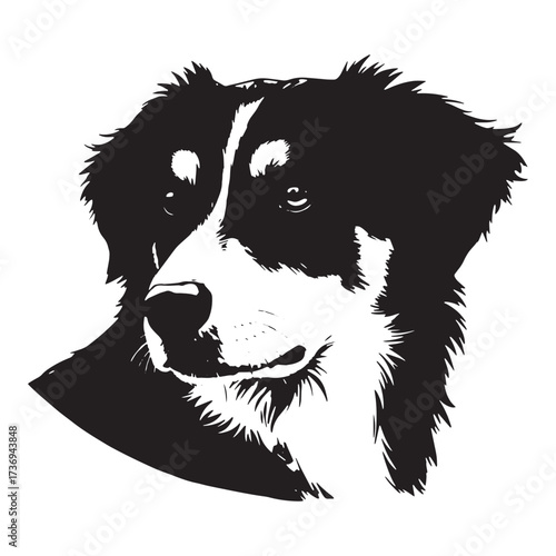 Black and white portrait of a dog's face canine animal