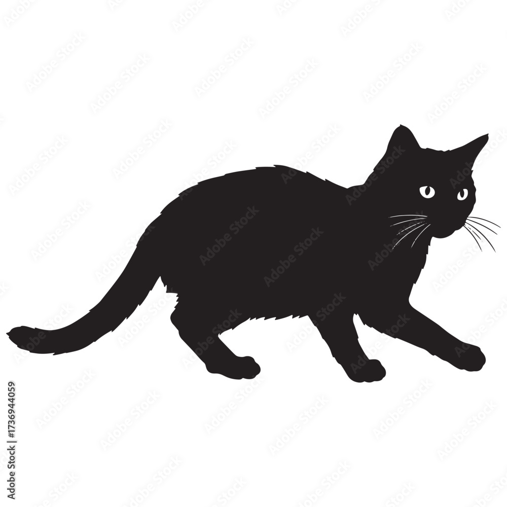 Obraz premium Black cat silhouette walking on white background animal