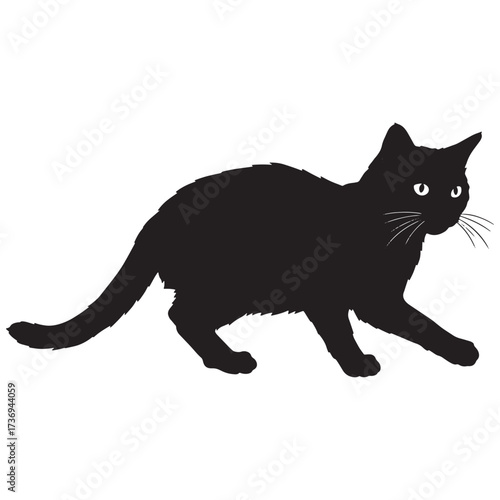 Black cat silhouette walking on white background animal
