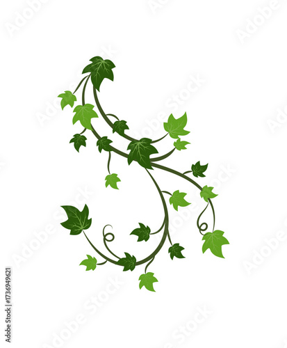 Green Ivy Vine Leaves Decoration – Climbing Plant Vector Design