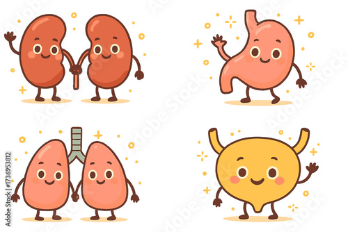 Cute human organ characters set. Kawaii cartoon kidneys, stomach, lungs, bladder mascot. Kids medical checkup vector illustration. Healthy anatomy for children's clinic banner.