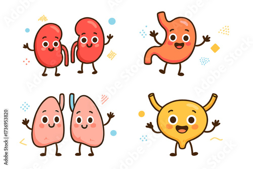 Cute human organ characters set. Kawaii cartoon kidneys, stomach, lungs, bladder mascots. Retro anatomy icons for kids health, children's clinic, medical checkup posters.