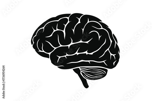 Human brain icon. Mind anatomy and intelligence symbol. Knowledge, neurology and medical part. Psychology, thinking and science vector. Intellect, memory and health concept.