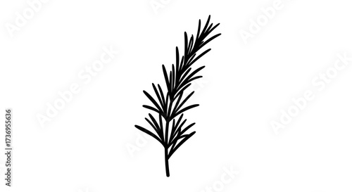 Elegant monochrome rosemary sprig illustration for culinary design projects