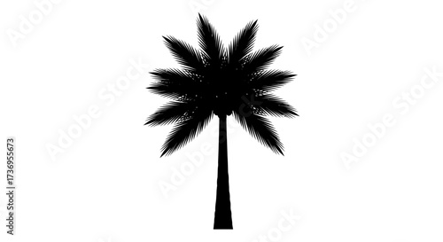 Elegant Silhouette Depiction of an Isolated Tropical Palm Tree Graphic
