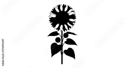 Elegant silhouette of a sunflower with intricate details and pure simplicity