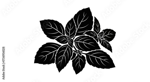 Monochrome basil plant depiction, featuring bold, stylized foliage design