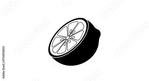 Monochrome Citrus Slice Depiction on Plain Backdrop Illustration