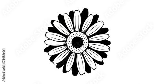 Monochrome floral design with delicate petals, a minimalist illustration
