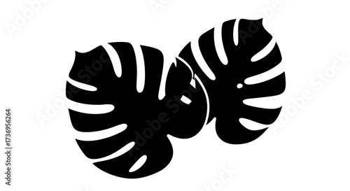Silhouette of Two Monstera Leaves creating abstract botanical pattern