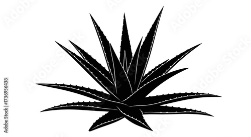 Stylized Silhouette of an Aloe Vera Plant on a Clean White Background