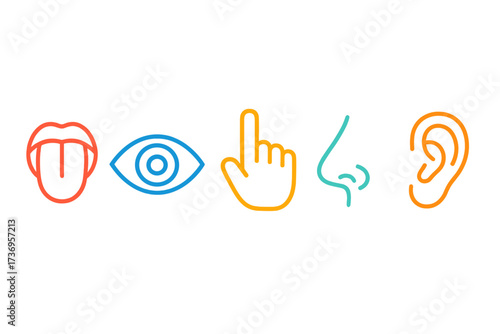 Five human senses icon set with taste, sight, touch, smell, hearing. Vector line art illustration of tongue, eye, finger, nose, ear pictograms. Human perception concept.