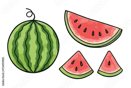 Watermelon set vector illustration. Hand drawn doodle fruit. Whole and sliced watermelon with watercolor texture. Fresh healthy summer food concept. Juicy organic melon sketch.