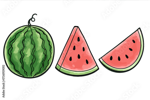 Watercolor watermelon vector set. Hand drawn artistic fruit illustration. Fresh summer food concept. Juicy ripe whole melon and slices with seeds in a doodle sketch style isolated.