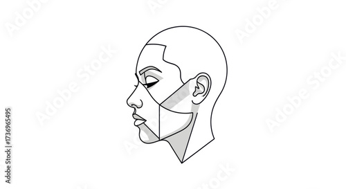 Geometric facial planes illustration of a persons head.