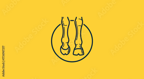 Horse Legs in Circle - Equine Anatomy Illustration.