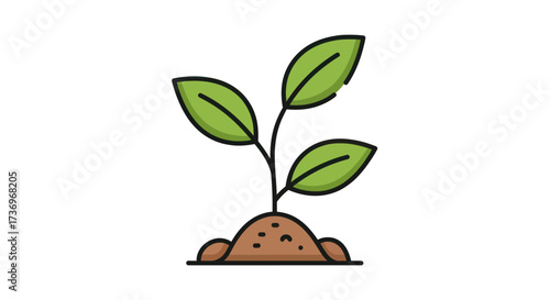 Small Plant Growing in Soil.
