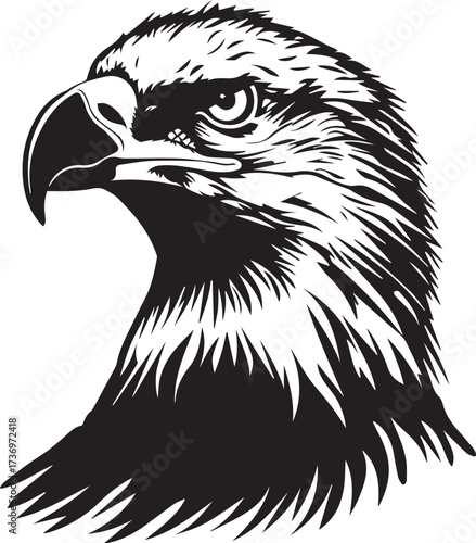 Black and white illustration of an eagle head isolated on white background