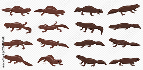 Vector illustration set of brown amphibians like newts or salamanders in different poses on a transparent background.