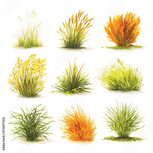 Vector illustration set of bermudagrass silhouette isolated on white background