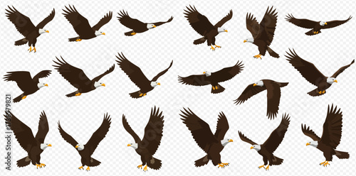 A collection of bald eagles in various flight poses, showcasing their majestic movement and power against a transparent background.
