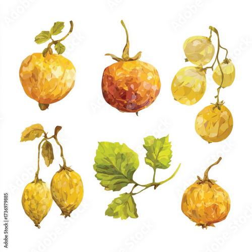 Botrytis silhouette illustration of a fungus spore cluster isolated on a clean white background isolated on white background