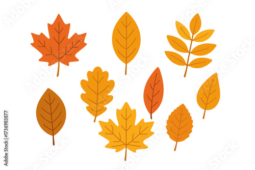 Autumn leaves set. Fall foliage collection. Vector illustration in flat cartoon style. Orange and yellow leaf icons. Maple, oak, birch. Seasonal nature elements isolated.