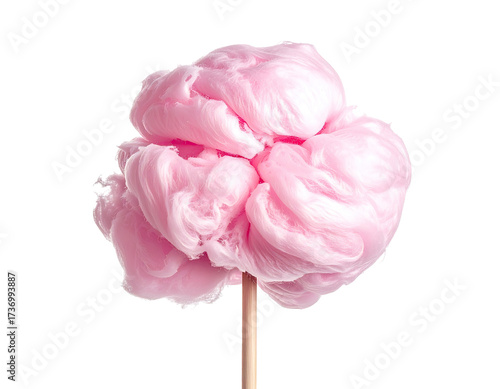 Pink fluffy cotton candy on a stick (1)