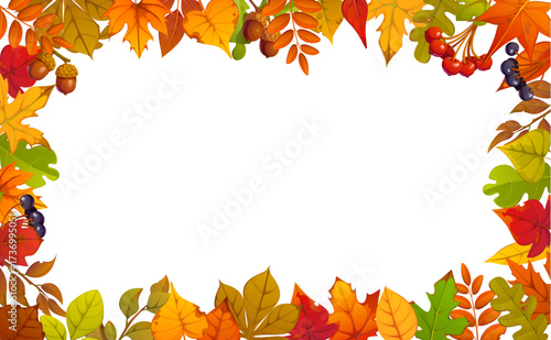 Autumn fall leaves frame with forest berries, vector Thanksgiving harvest holiday. Cartoon autumn orange and red leaves of maple, oak and chestnut trees, acorns and rowanberries frame border lines
