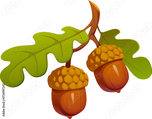 Thanksgiving Day icon of oak acorns for autumn harvest and food, cartoon vector. Acorns on oak tree branch with leaves for Happy Thanksgiving holiday greetings and autumn harvest of fall season symbol