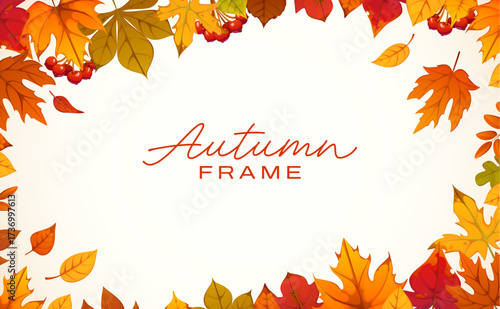 Autumn frame with falling leaves for Thanksgiving Day or autumn holiday, vector poster. Maple leaf or birch and elm leaves frame with rowan berry for fall harvest season or Thanksgiving holiday