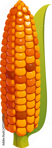 Thanksgiving Day corn icon for autumn harvest and food, cartoon vector. Ripe sweetcorn or corncob symbol of autumn harvest of fall season for Happy Thanksgiving dinner food and holiday greetings