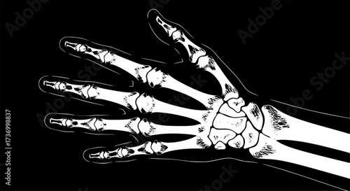 X-ray scan icon design illustration. 