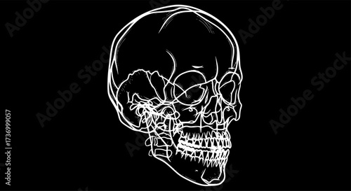 X-ray scan icon design illustration. 