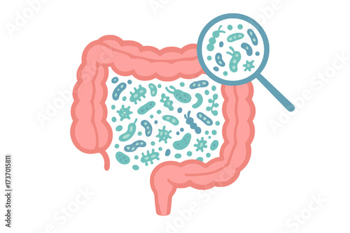 Gut microbiome concept. Human intestine with microbiota and healthy probiotic bacteria. Flat vector illustration of microbiology checkup, digestive system and colon analysis.