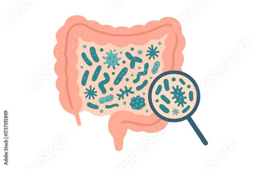 Gut microbiome concept vector. Human intestine with microbiota, healthy flora, and probiotic bacteria. Medical microbiology checkup and digestive health analysis illustration.