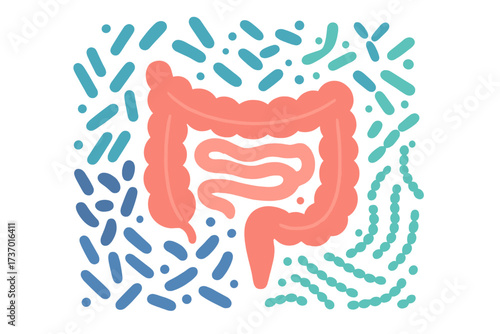 Human microbiome concept with abstract intestines and healthy bacteria. Gastroenterology concept. Gut flora, bifidobacterium, lactobacilli, prebiotic, probiotic. Lactic acid.