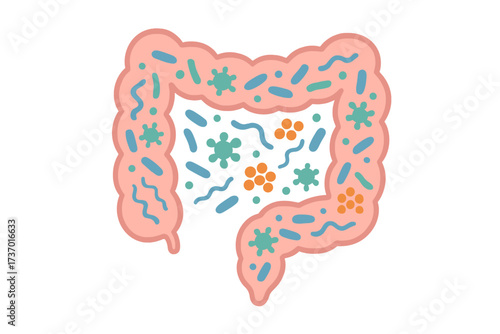 Gut microbiome concept with intestine flora. Healthy digestive system. Human colon with probiotic bacteria. Microbiology science background. Medical vector illustration of microbiota.