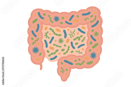Gut microbiome vector illustration. Human intestine with healthy probiotic bacteria. Abstract medicine concept of gut flora, microbiota and microbiology for digestive health.